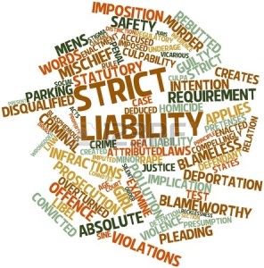 16772830-abstract-word-cloud-for-strict-liability-with-related-tags-and-terms-296x300